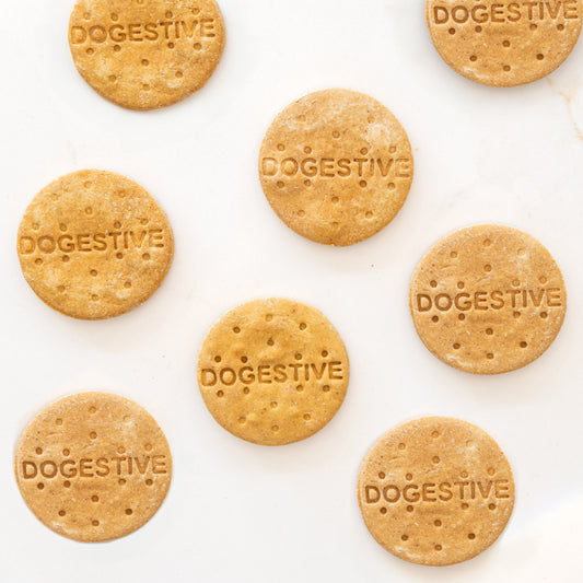 Dogestive (Pack of 4)