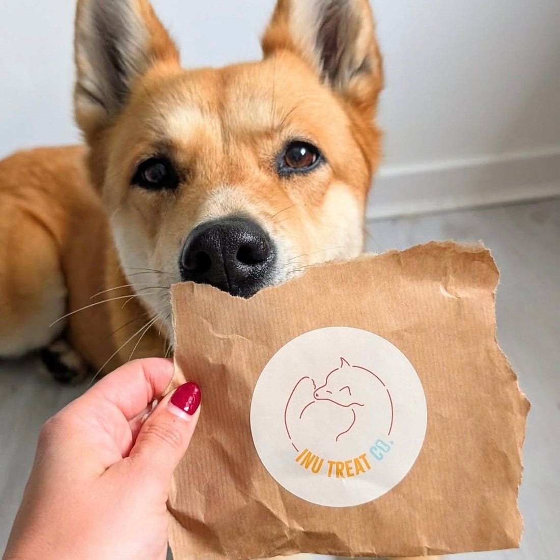 New Year, New Treats (Same Wag-Worthy Goodness)
