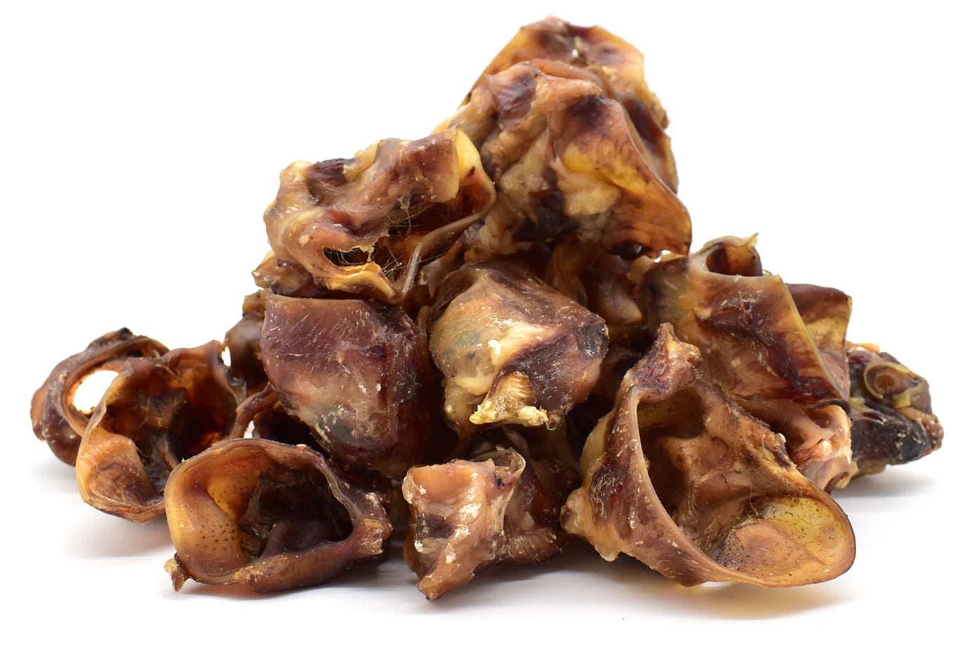 Pigs Inner Ears